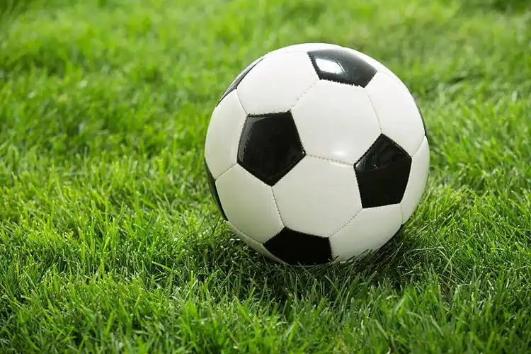 球探APP注册使用流程图示